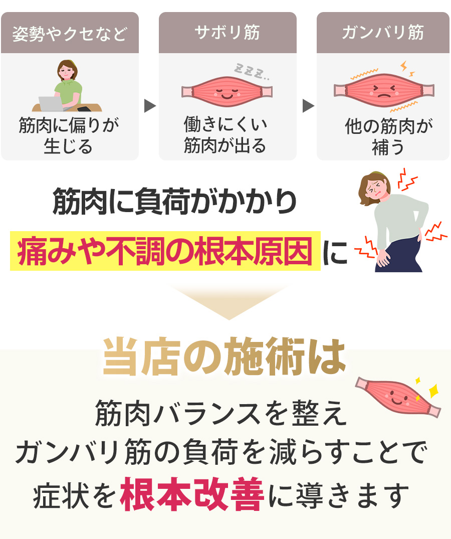 サボリ筋