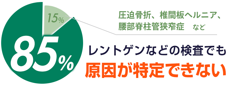 約85%の腰痛は原因が特定できない