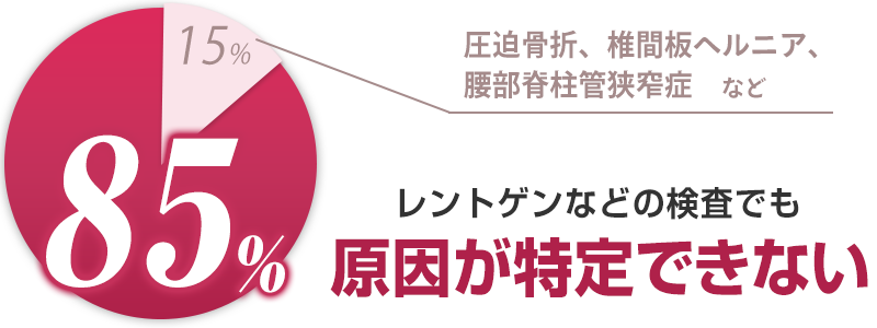 約85％の腰痛は原因が特定できない